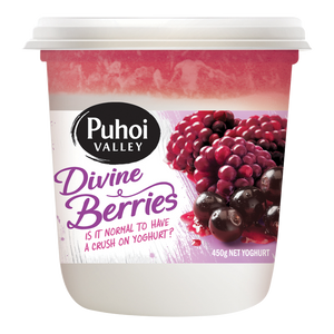 Puhoi Divine Berries Yoghurt 450g