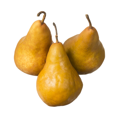 Pears - Organic Bosc