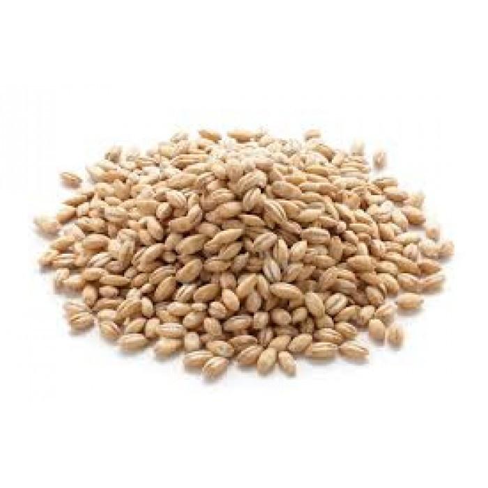 Pearled Barley- Organic Pre Packed 500g