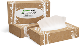 Green Cane Facial Tissues - 90 Sheets Per Box