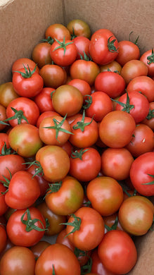 Kakanui Tomatoes Loose - 6.50