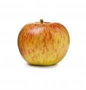 Apples - Organic Cox's Orange