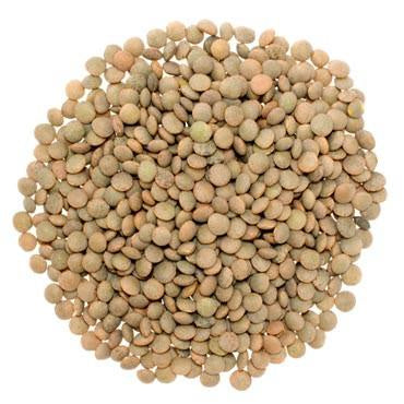 Brown Lentils- Organic Pre Packed 1kg