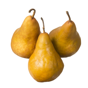 Pears - Organic Bosc