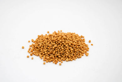 Your Kitchen Mustard Seed Yellow 100g