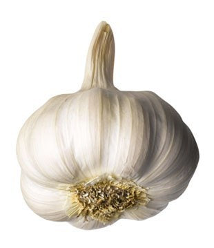 Garlic - Organic USA