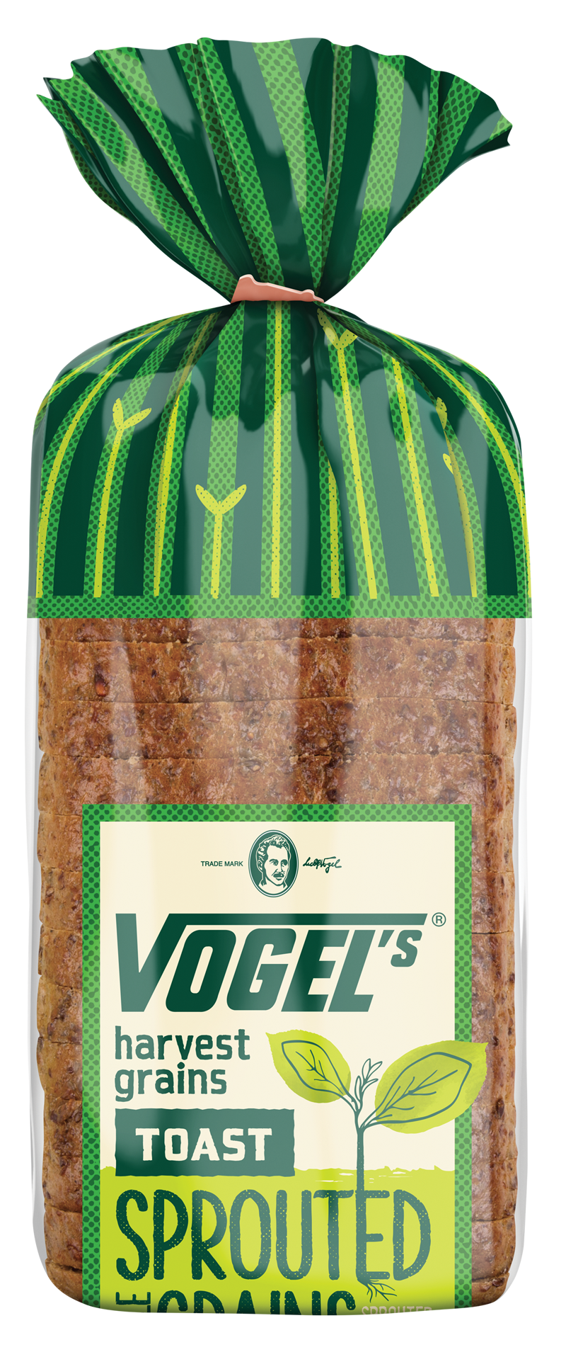 Vogel's Sprouted Whole Grains Toast Bread