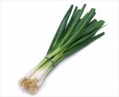Spring Onion Bunches -