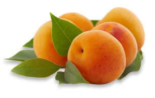 Apricots Moorpark Tree Ripened