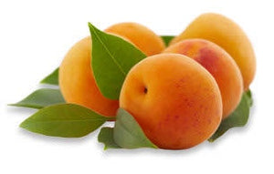 Apricots Moorpark Tree Ripened